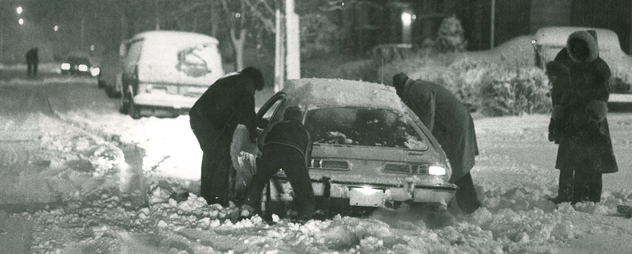 1981